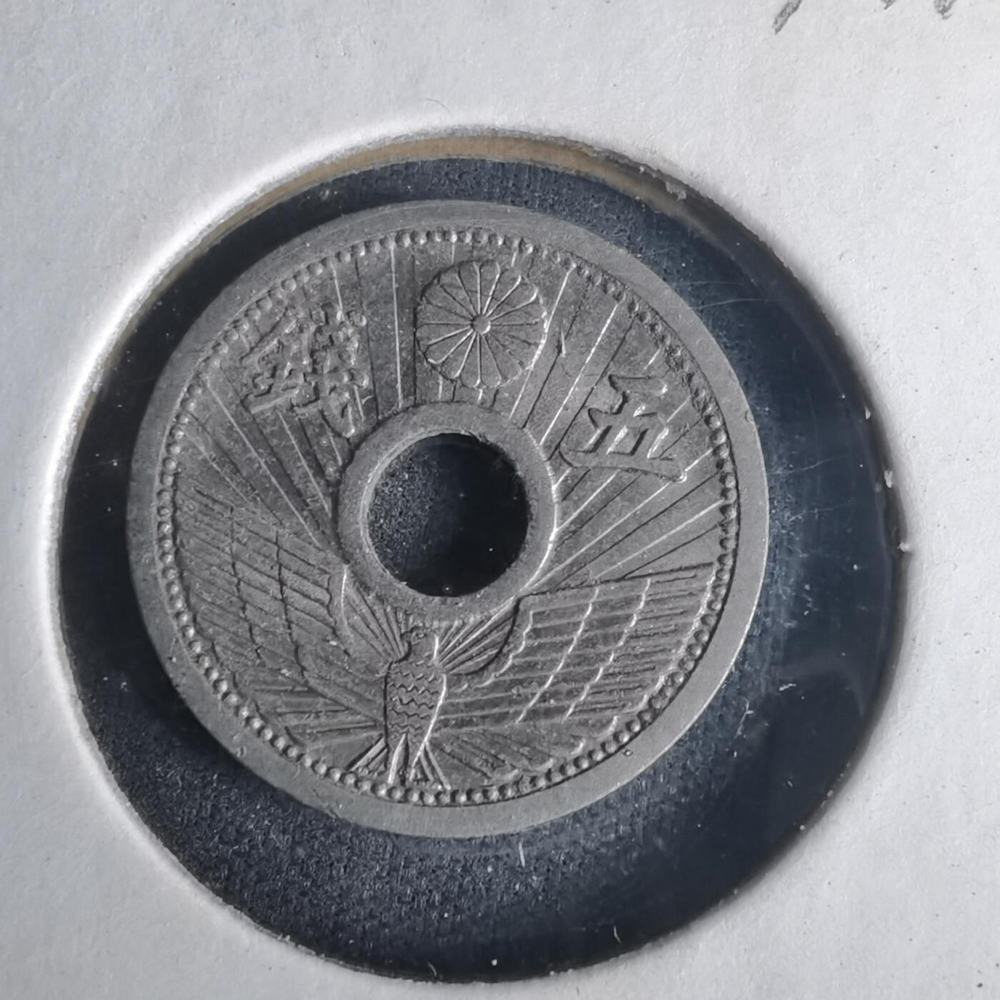 沼泽如烟--第977场