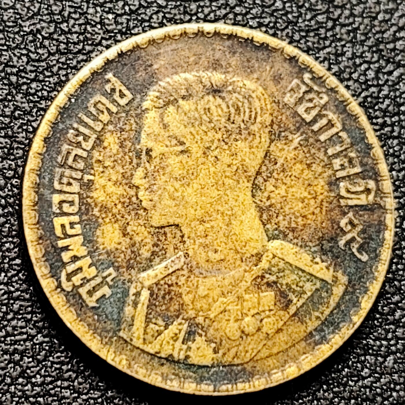 泉币菌-第177场- 精品福利场 。