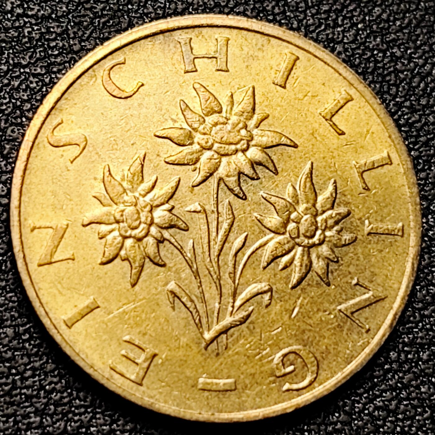 泉币菌-第177场- 精品福利场 。