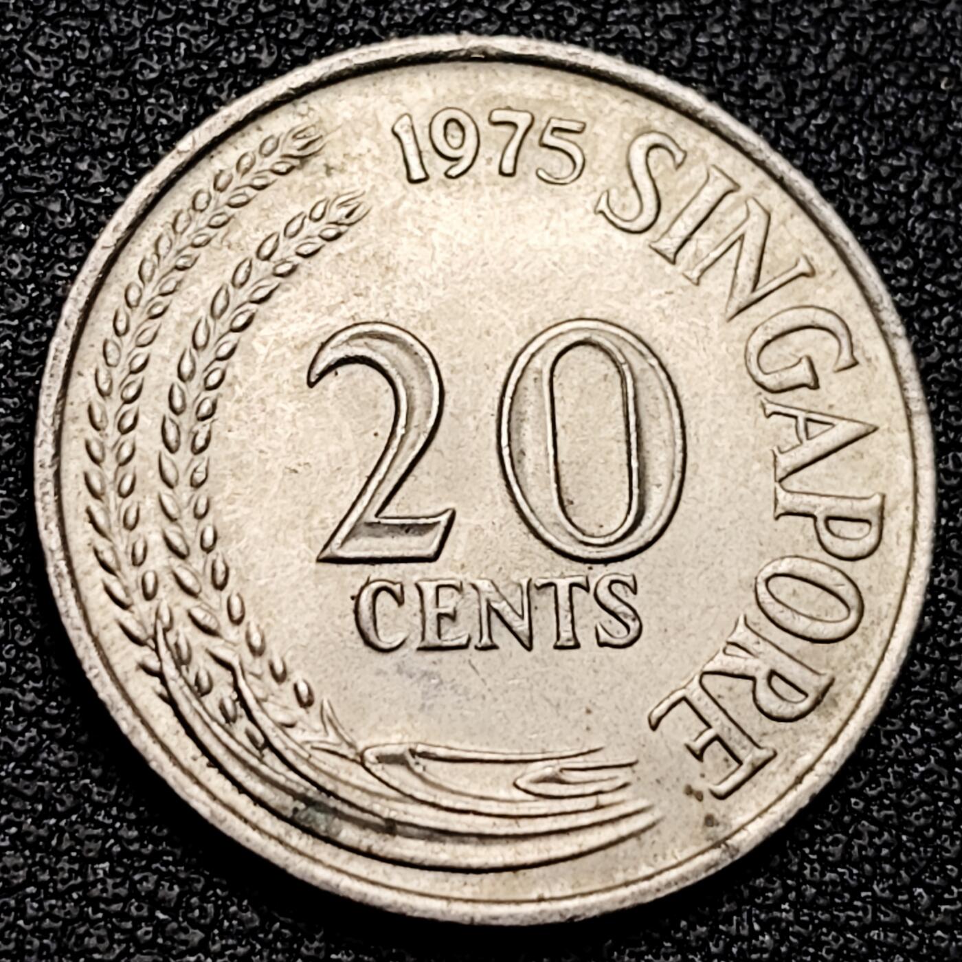 泉币菌-第177场- 精品福利场 。