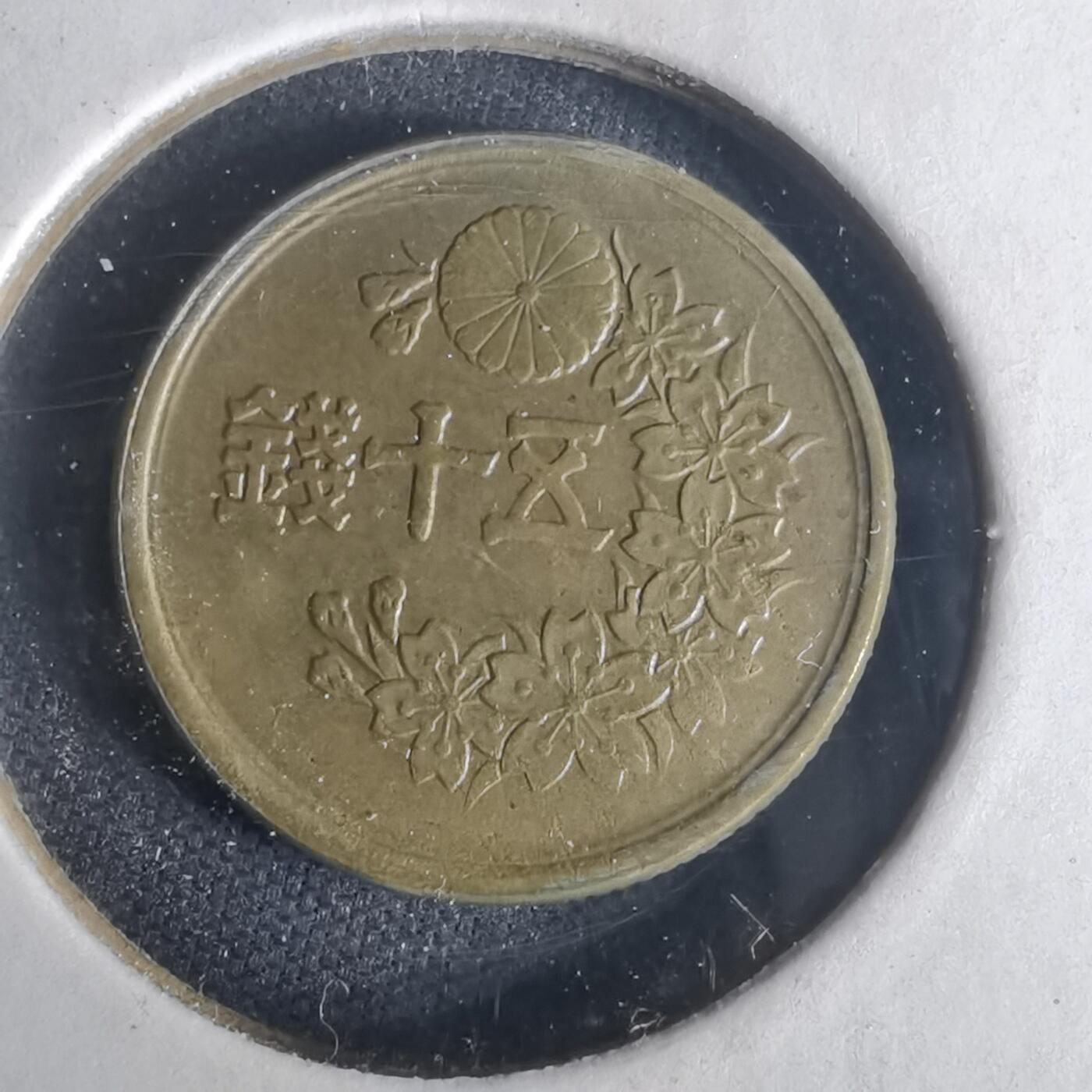 沼泽如烟--第977场