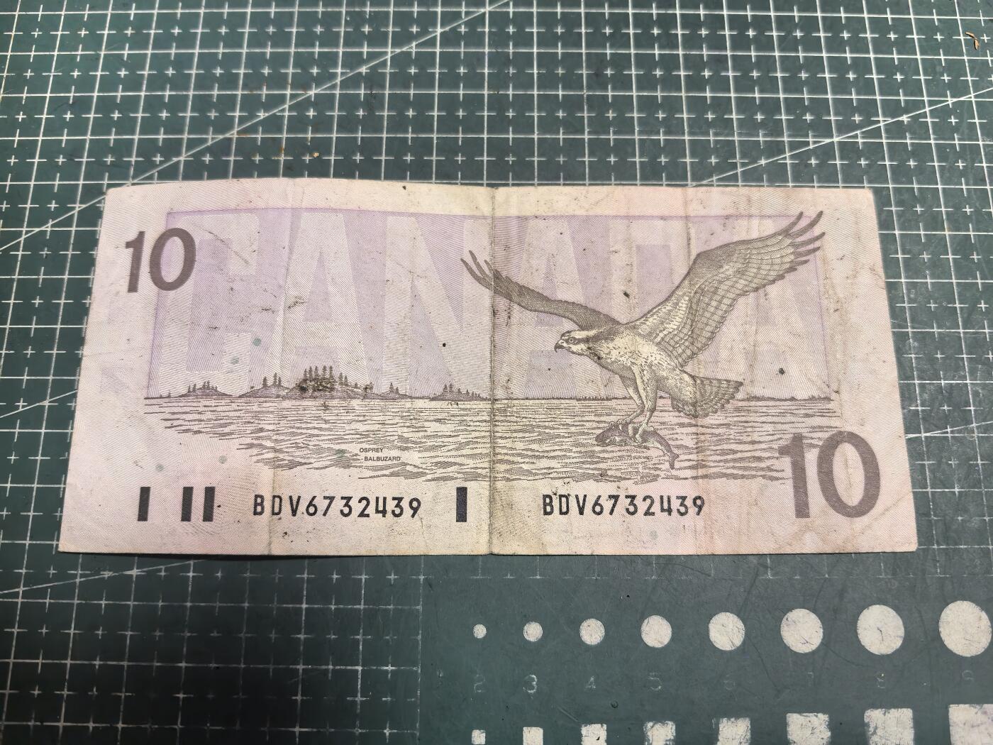 轻松集币无压力 加拿大10