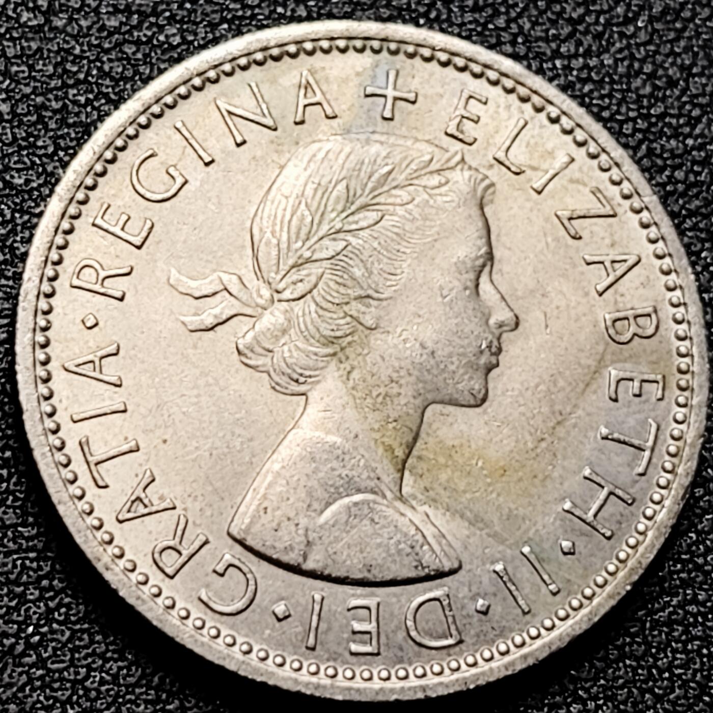 泉币菌-第177场- 精品福利场 。