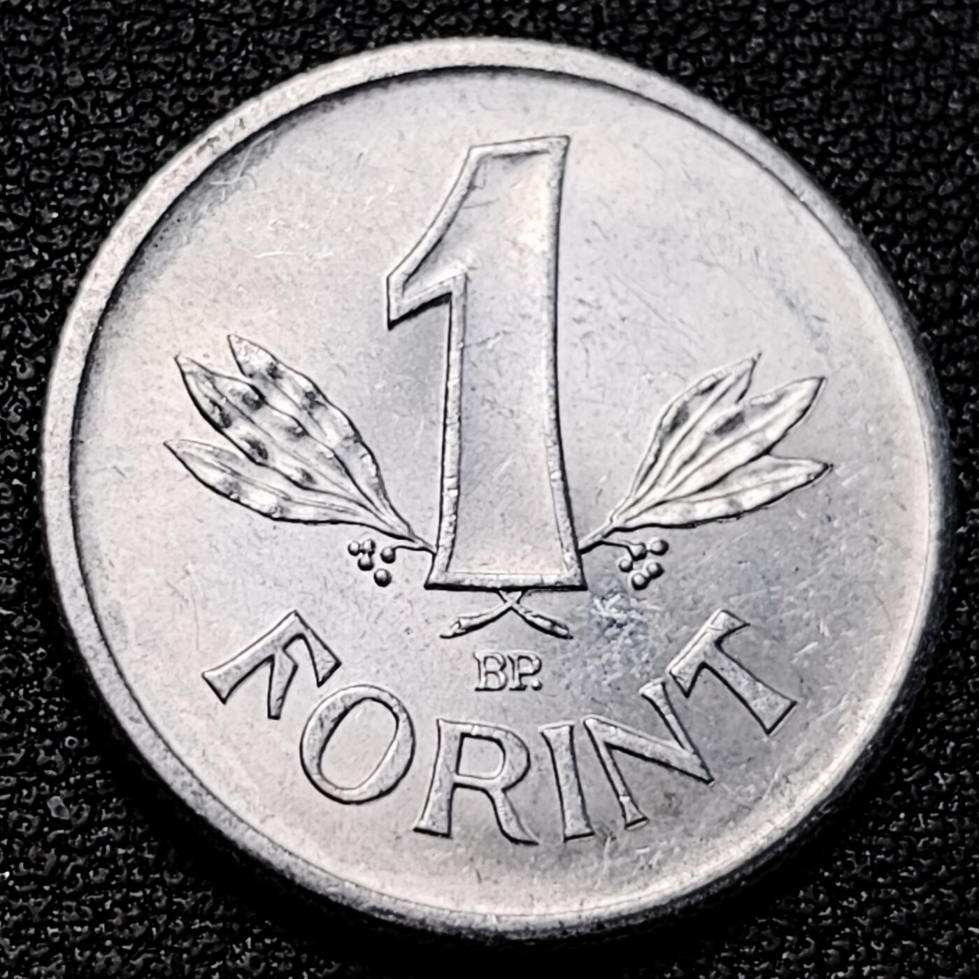 泉币菌-第177场- 精品福利场 。