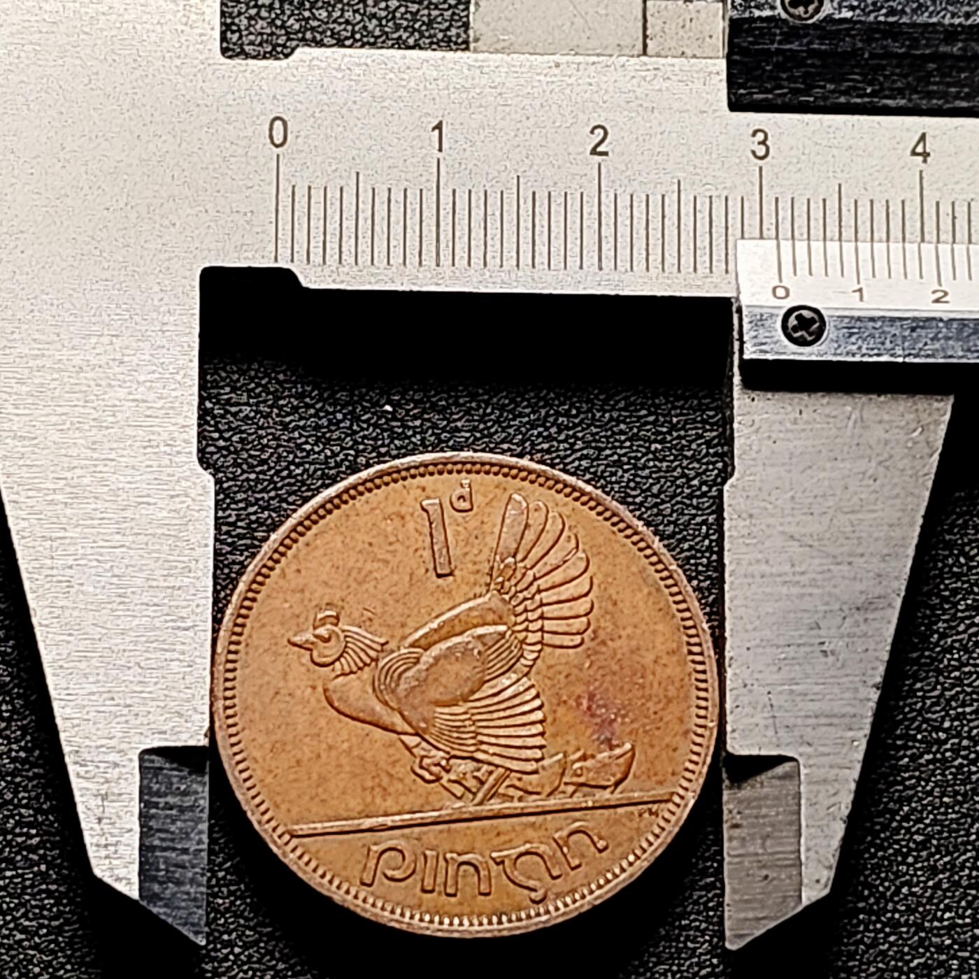 泉币菌-第177场- 精品福利场 。