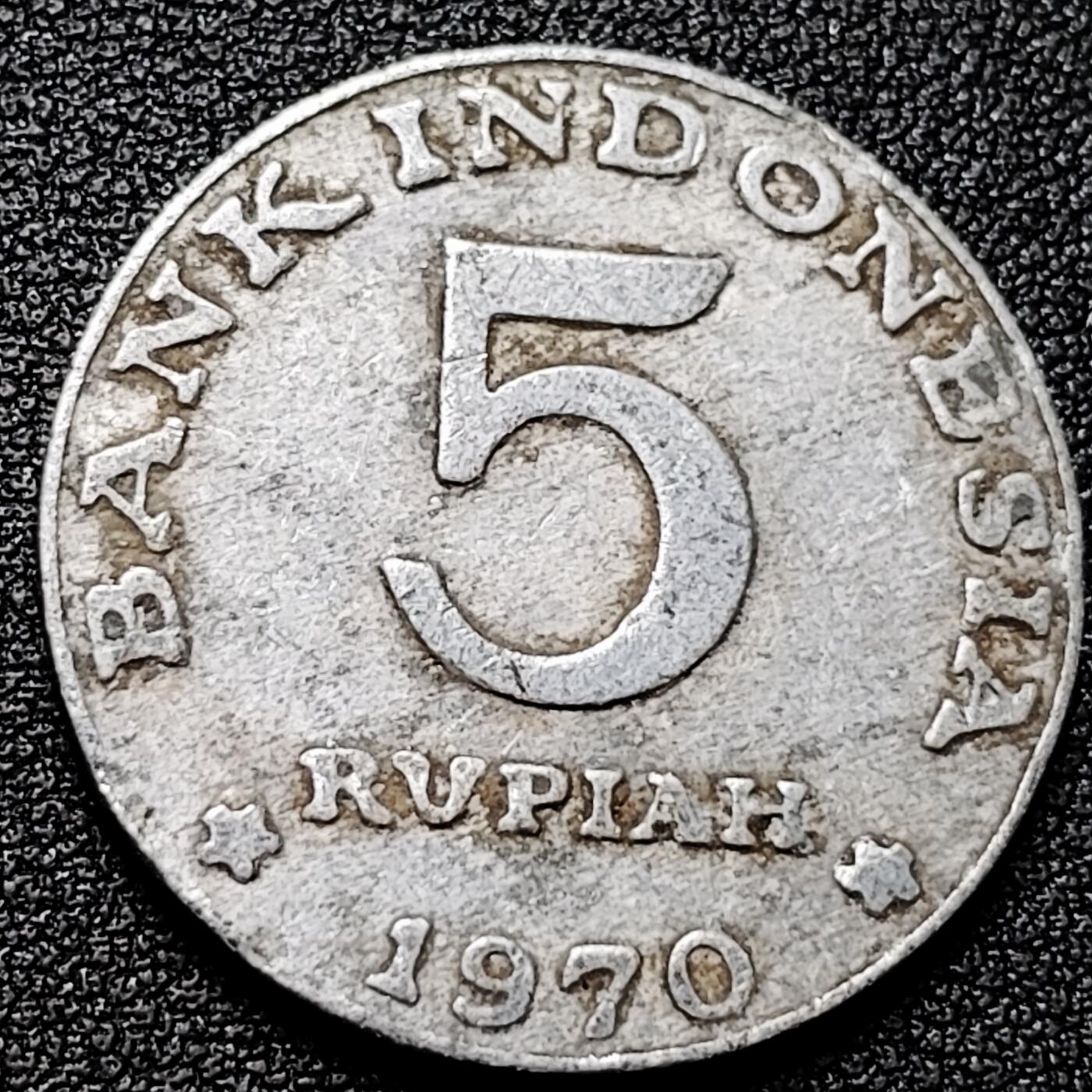 泉币菌-第177场- 精品福利场 。