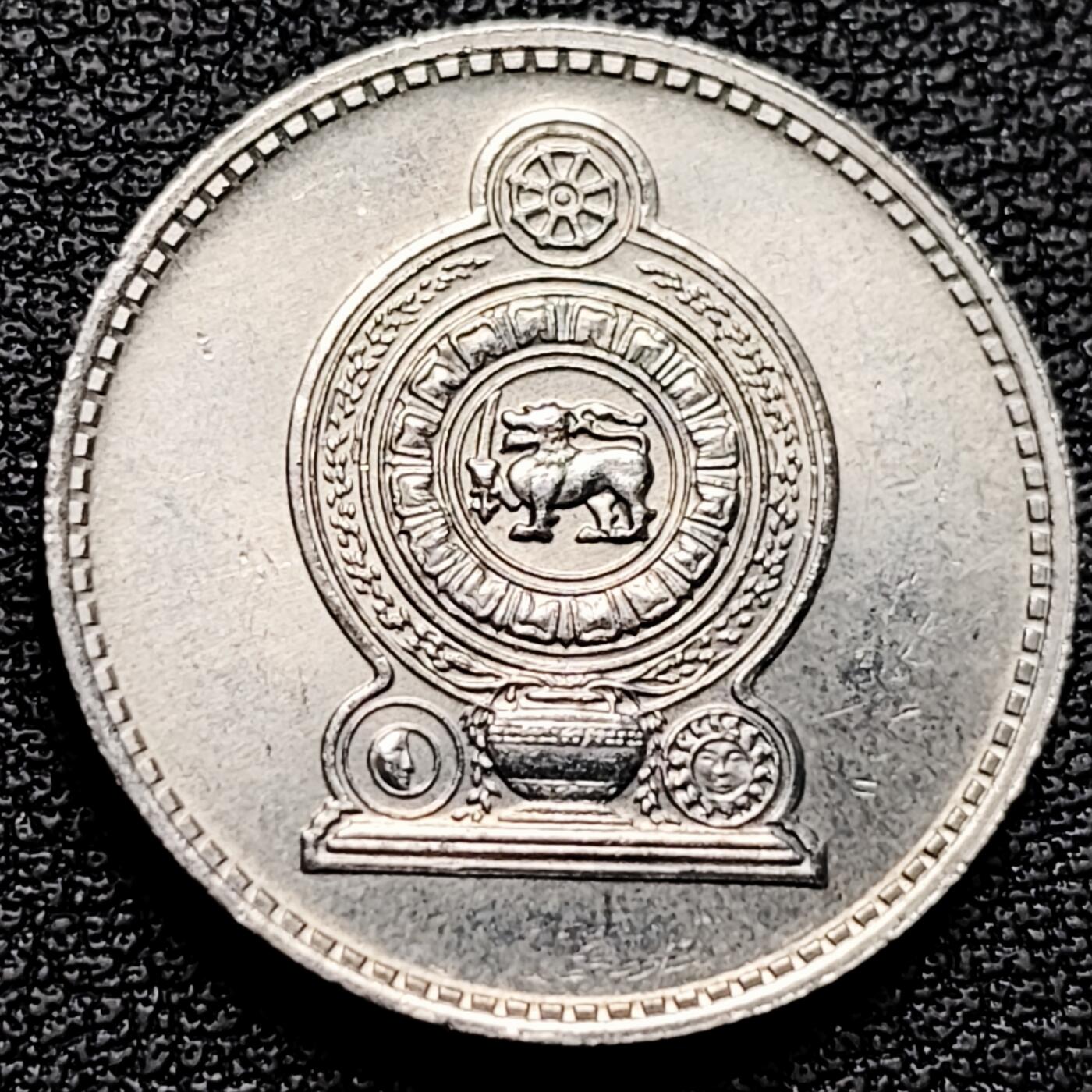 泉币菌-第177场- 精品福利场 。