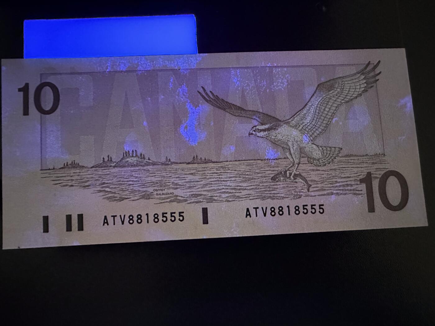 《外钞收藏家》第六百零五期（精选场）（本平台长期征集拍品、欢迎藏友们联系合作） 加拿大鸟版10元 不同签名 三张一起 全新 都是无47靓号 其中一张豹子号 有一张有潮斑