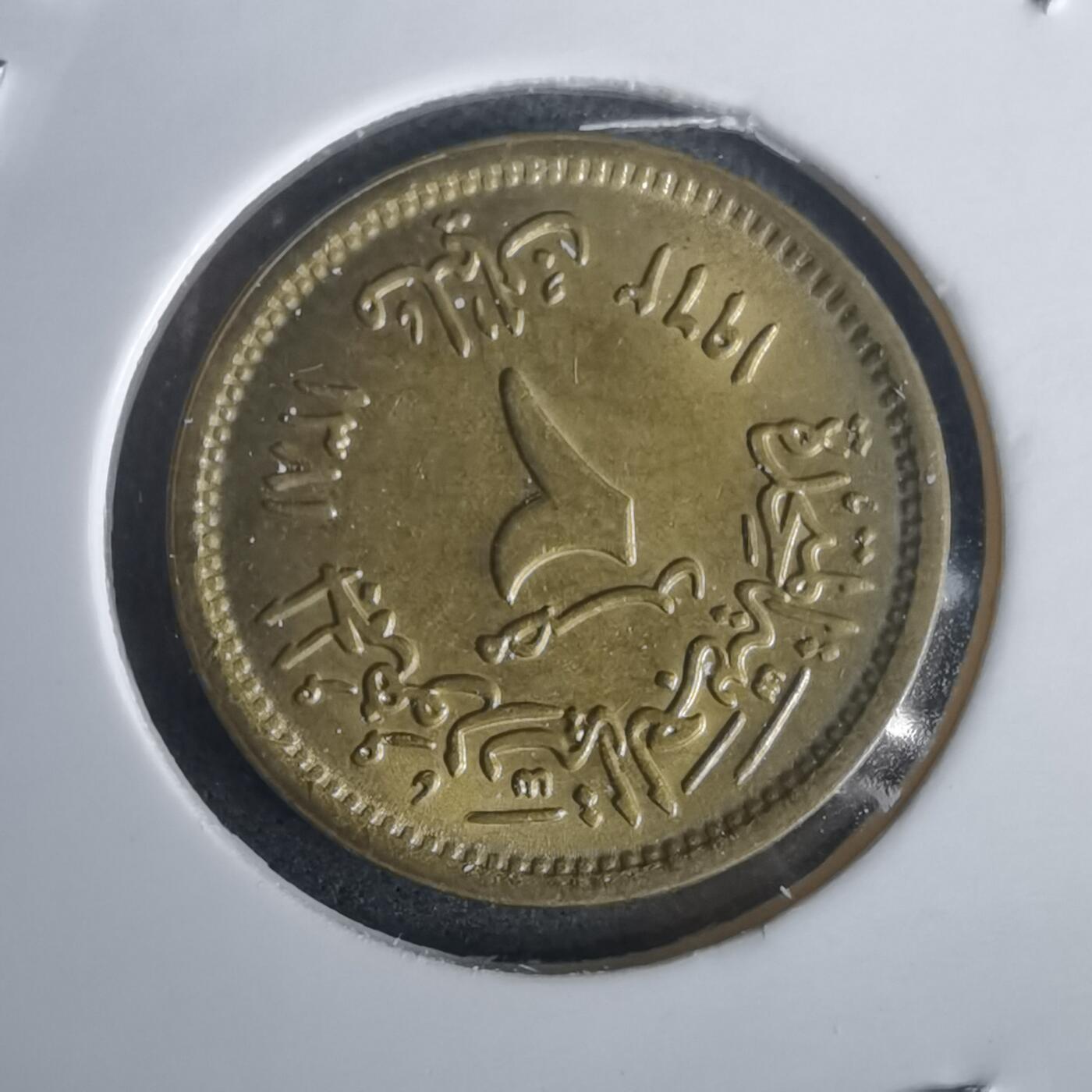 沼泽如烟--第976场 埃及