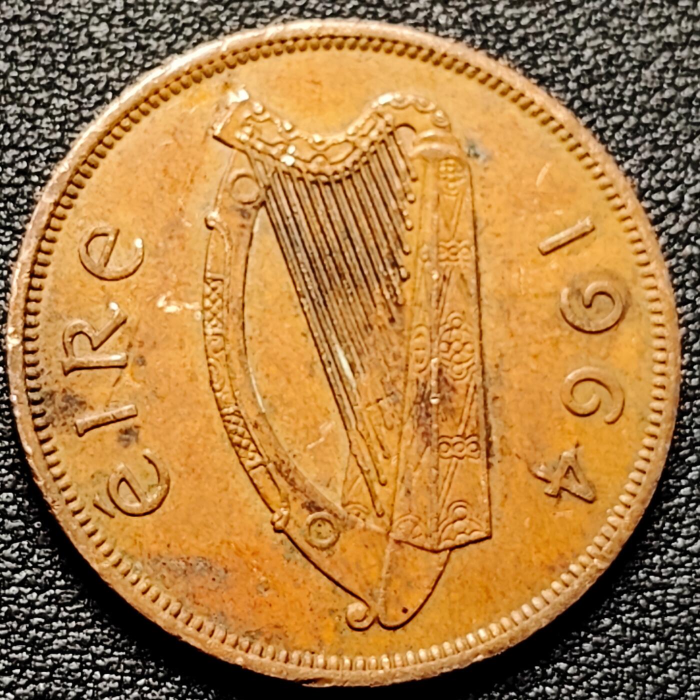 泉币菌-第177场- 精品福利场 。