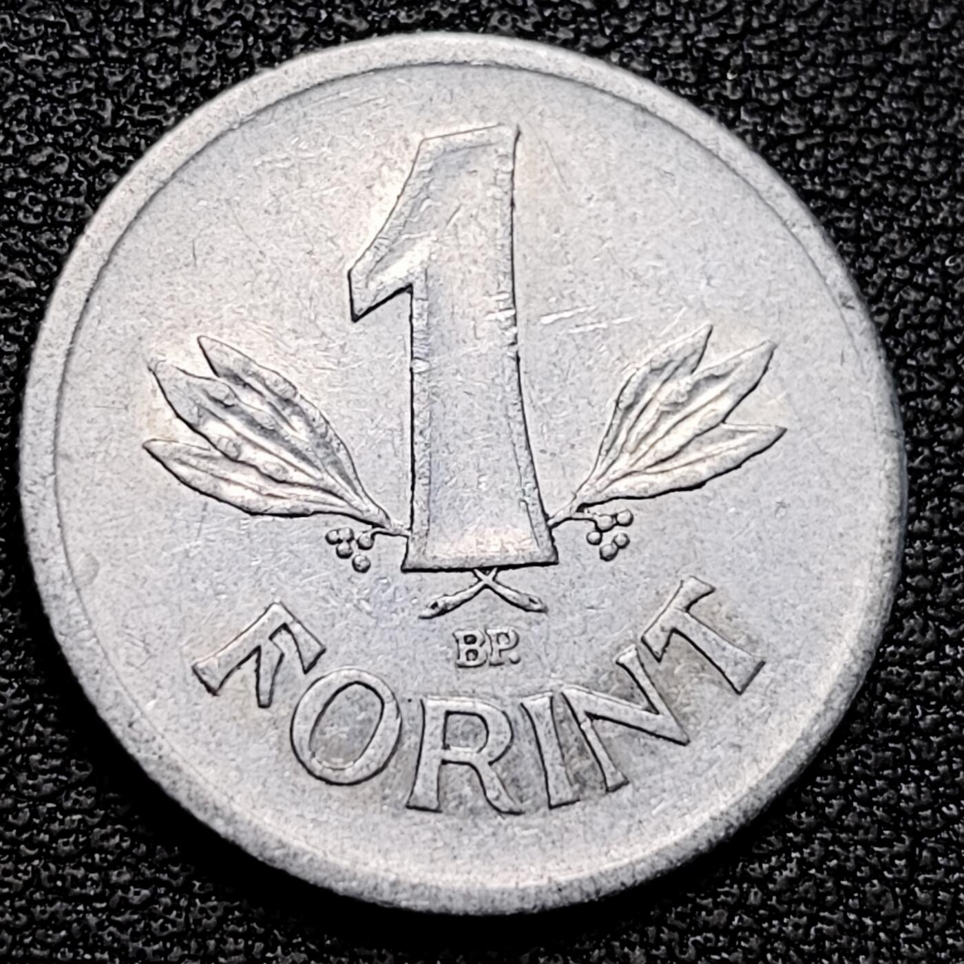 泉币菌-第177场- 精品福利场 。