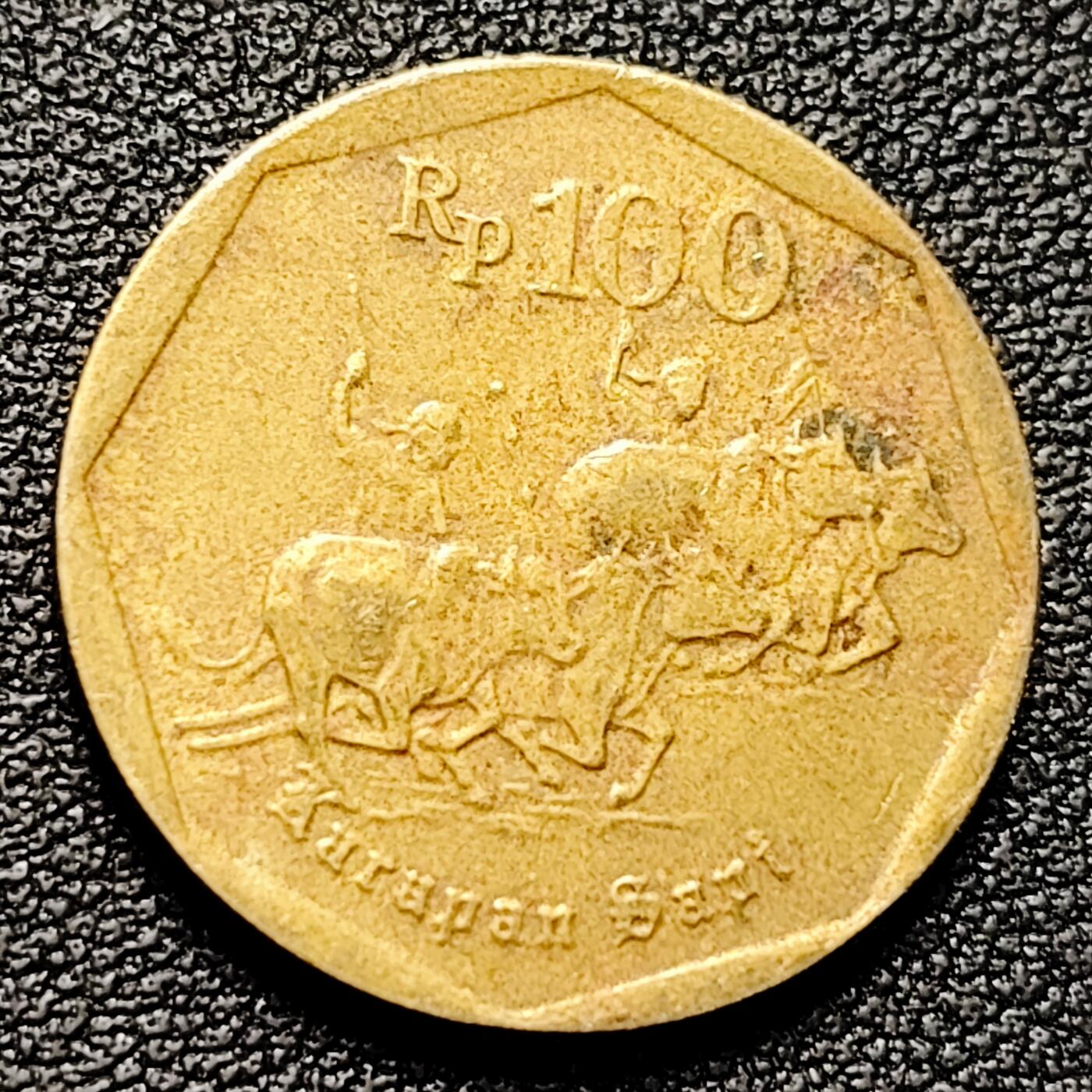 泉币菌-第177场- 精品福利场 。