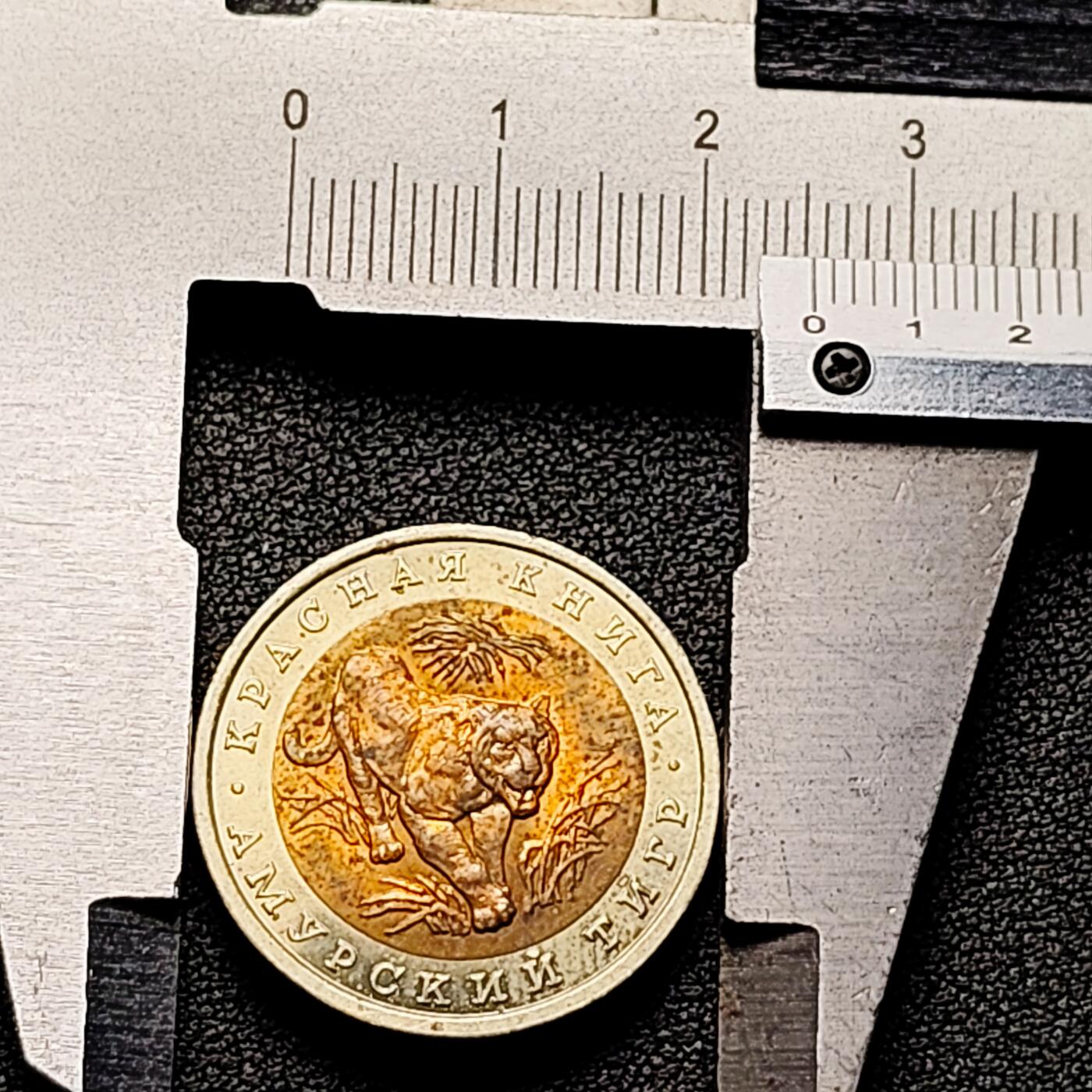 泉币菌-第177场- 精品福利场 全网稀少  原光极美 俄罗斯珍惜动物币-1992年10卢布 阿穆尔虎(东北虎) 25.2×1.8mm 