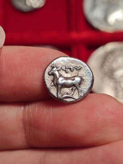 古希腊色雷斯小母牛半德拉克马银币 - 古希腊色雷斯小母牛半德拉克马银币