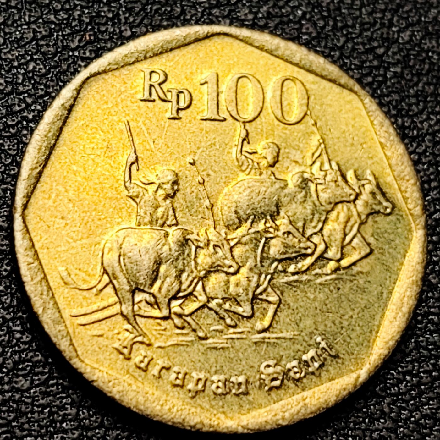 泉币菌-第177场- 精品福利场 。