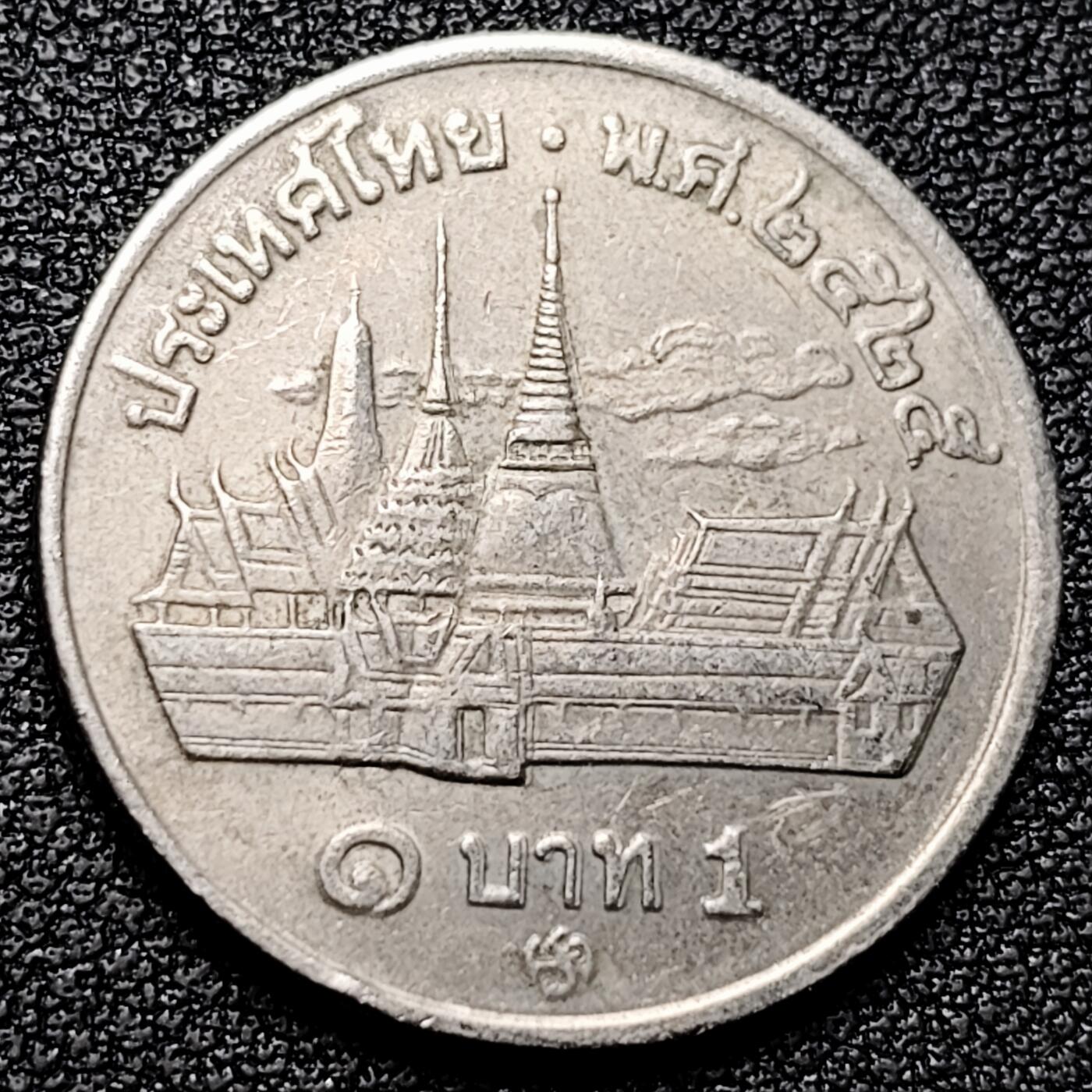 泉币菌-第177场- 精品福利场 。