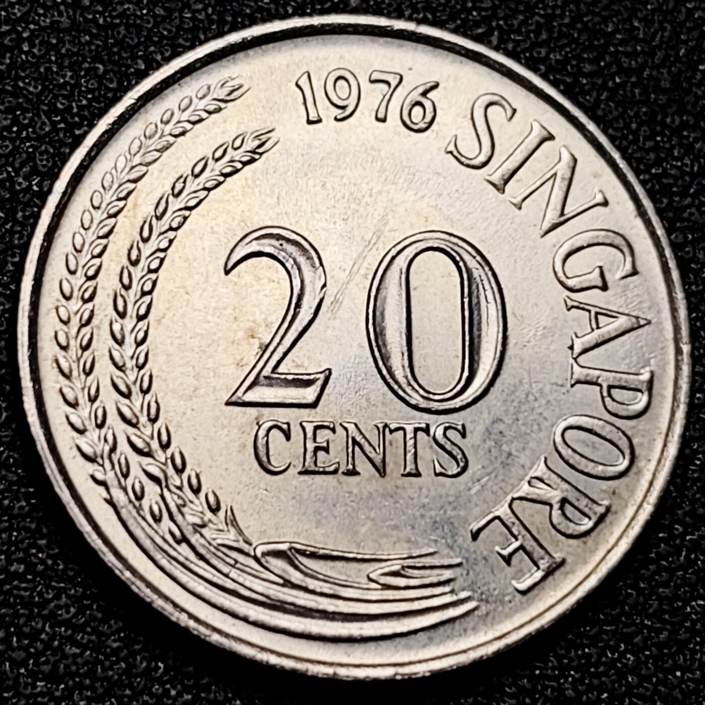 泉币菌-第177场- 精品福利场 。