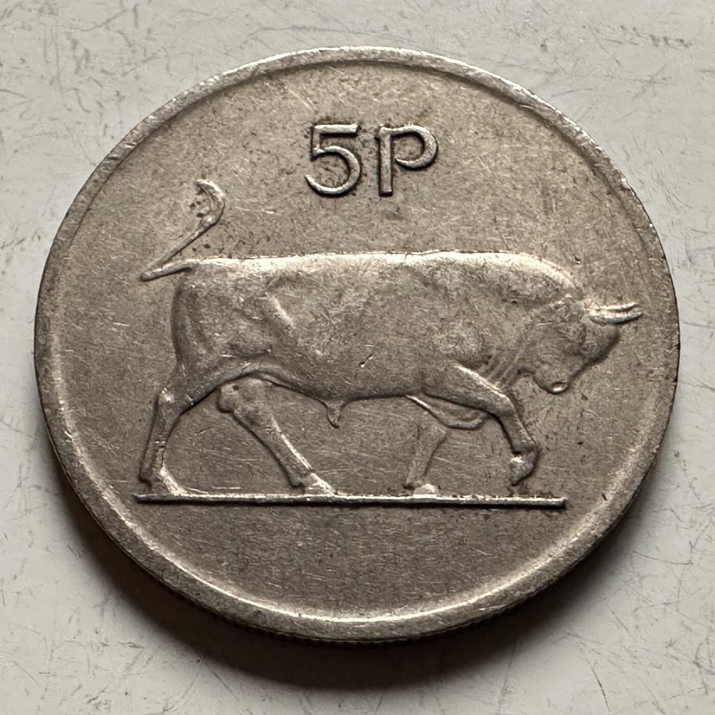 🌹外币初藏🌹🐯2026年第13场  每周二四六晚8️⃣点 接代拍 爱尔兰1985年5便士