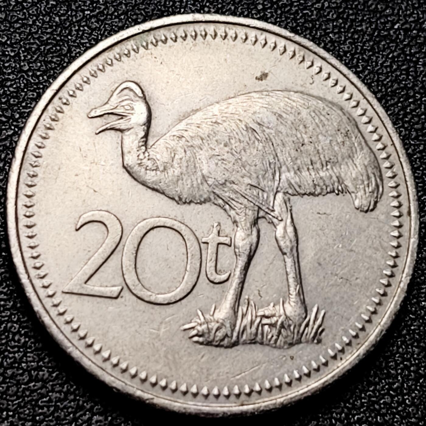 泉币菌-第177场- 精品福利场 。