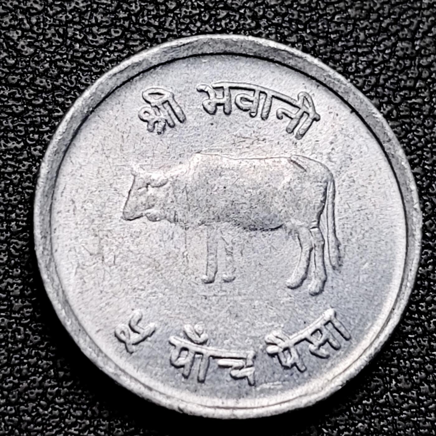 泉币菌-第177场- 精品福利场 。