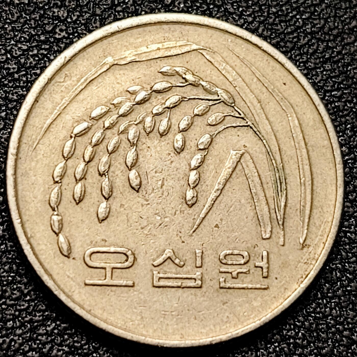 泉币菌-第177场- 精品福利场 。