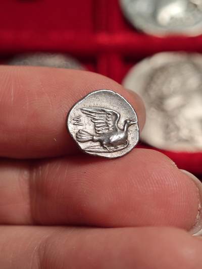 古希腊飞翔的鸽子一奥波银币 - 古希腊飞翔的鸽子一奥波银币