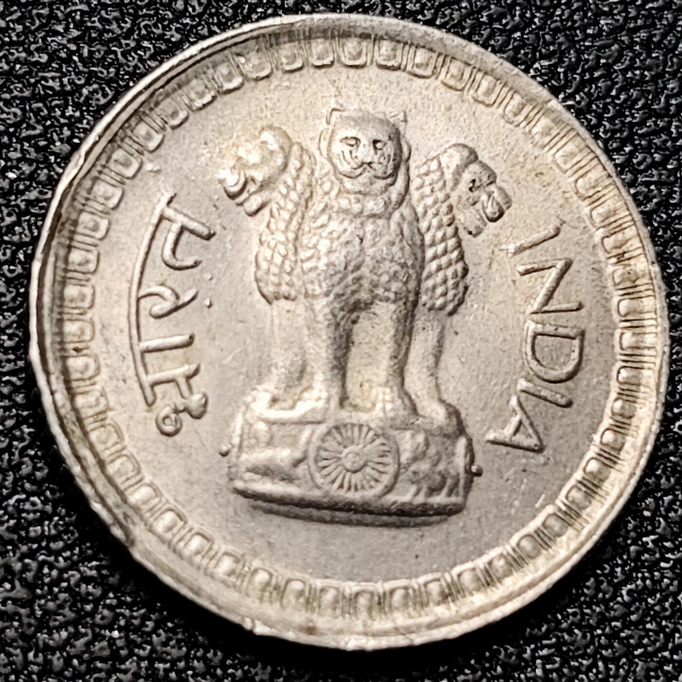 泉币菌-第177场- 精品福利场 。