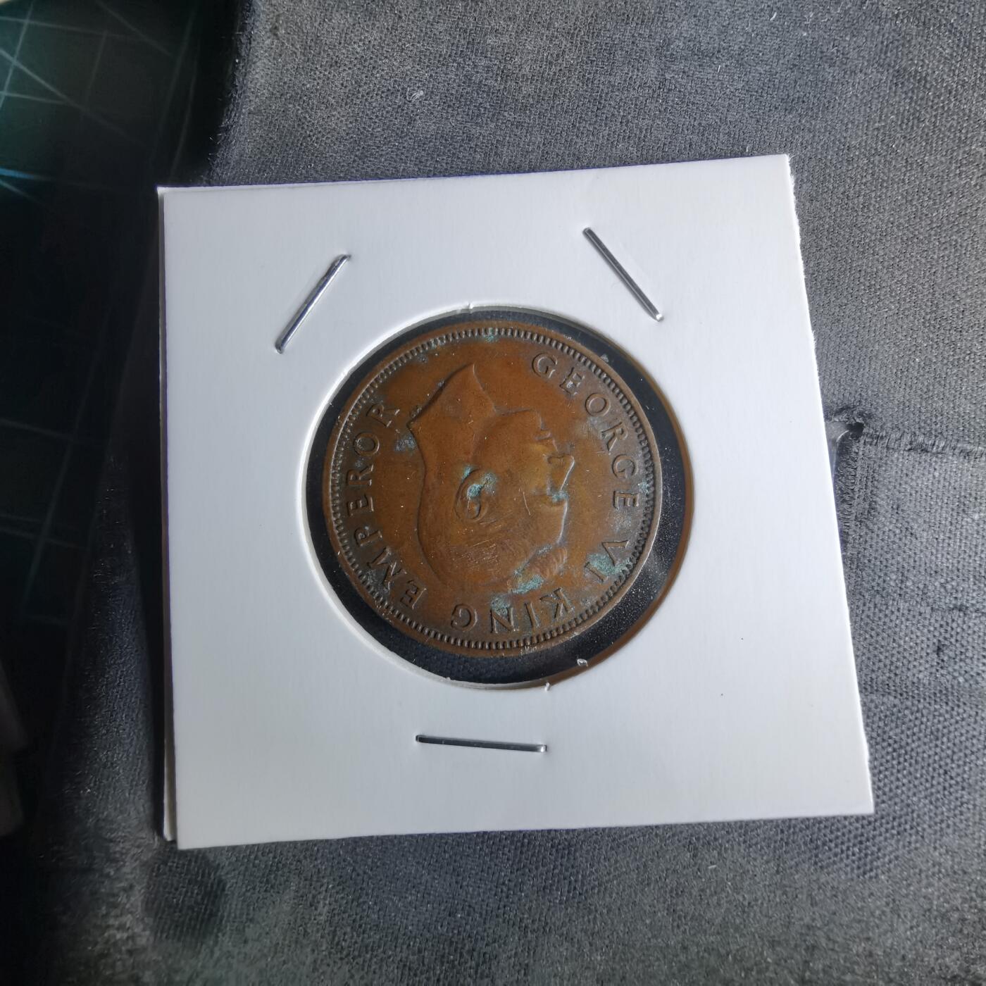 沼泽如烟--第979场