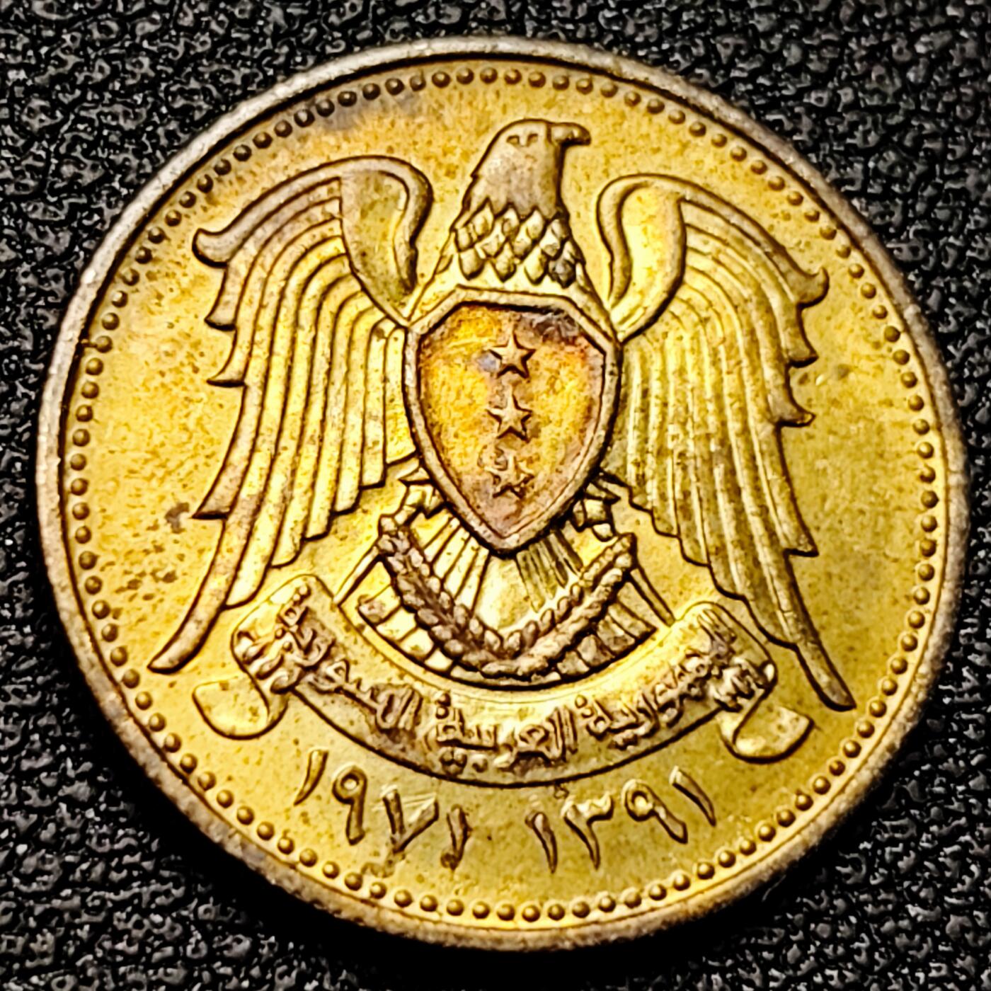 泉币菌-第178场- 精品福利场 。