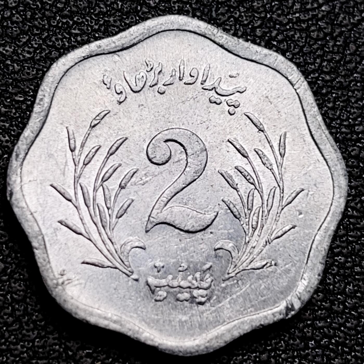 泉币菌-第178场- 精品福利场 。