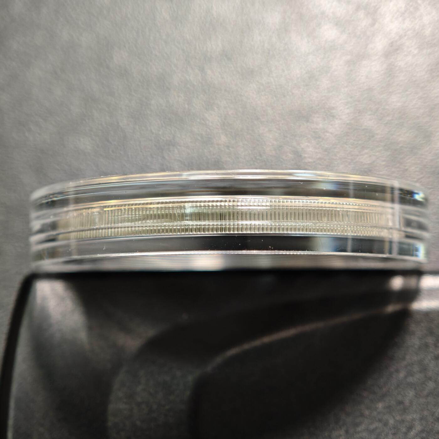 【德藏】世界币章拍卖第163期（拍品征集中~欢迎藏友联系） 2025年 纽埃英国君主局部镀金1元精制纪念银币 原盒 带证书 1盎司 999银 发行量500枚