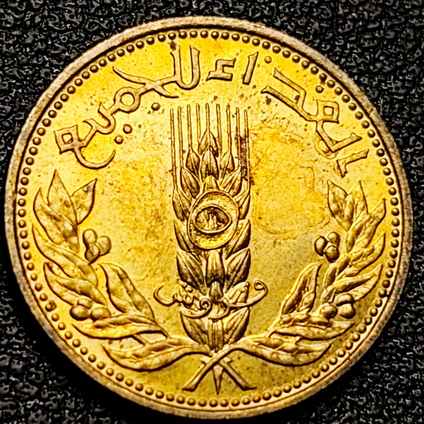 泉币菌-第178场- 精品福利场 。