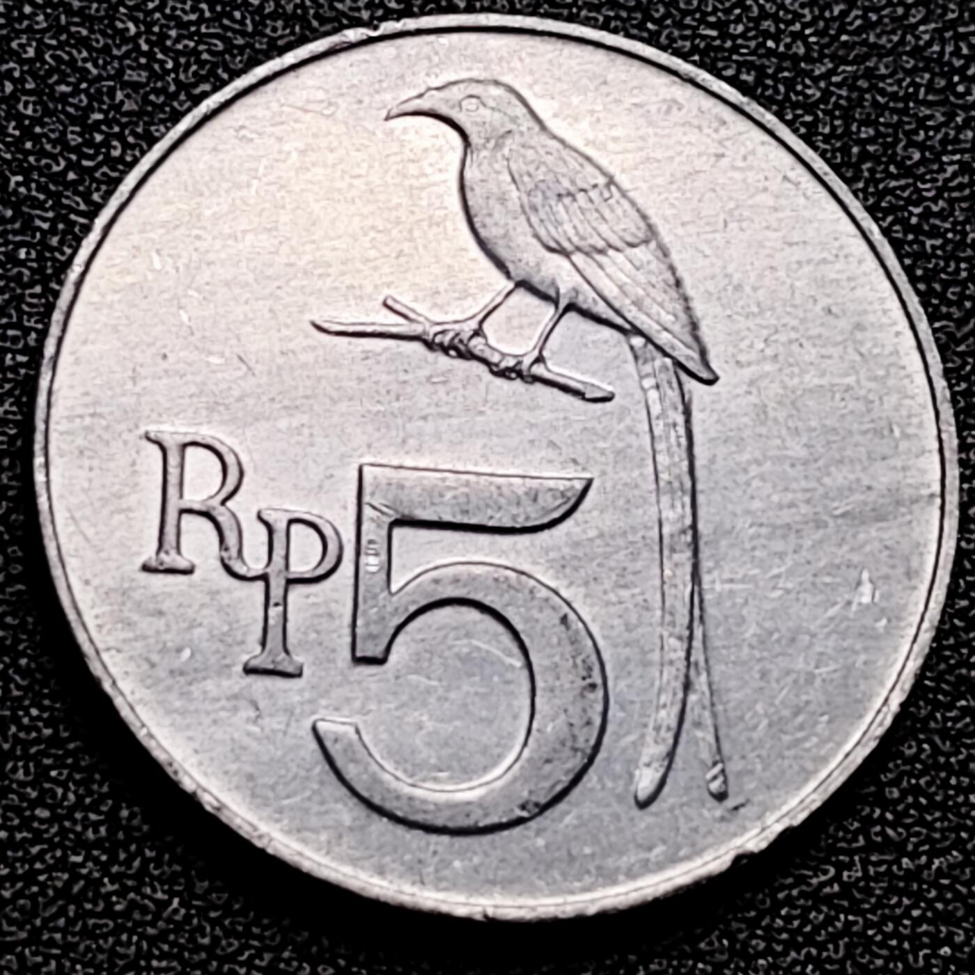 泉币菌-第178场- 精品福利场 。