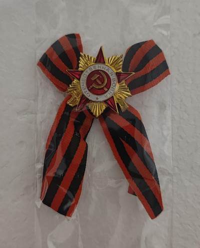 老俞小拍2 - 卫国勋章纪念章，胜利日游行队伍配戴同款