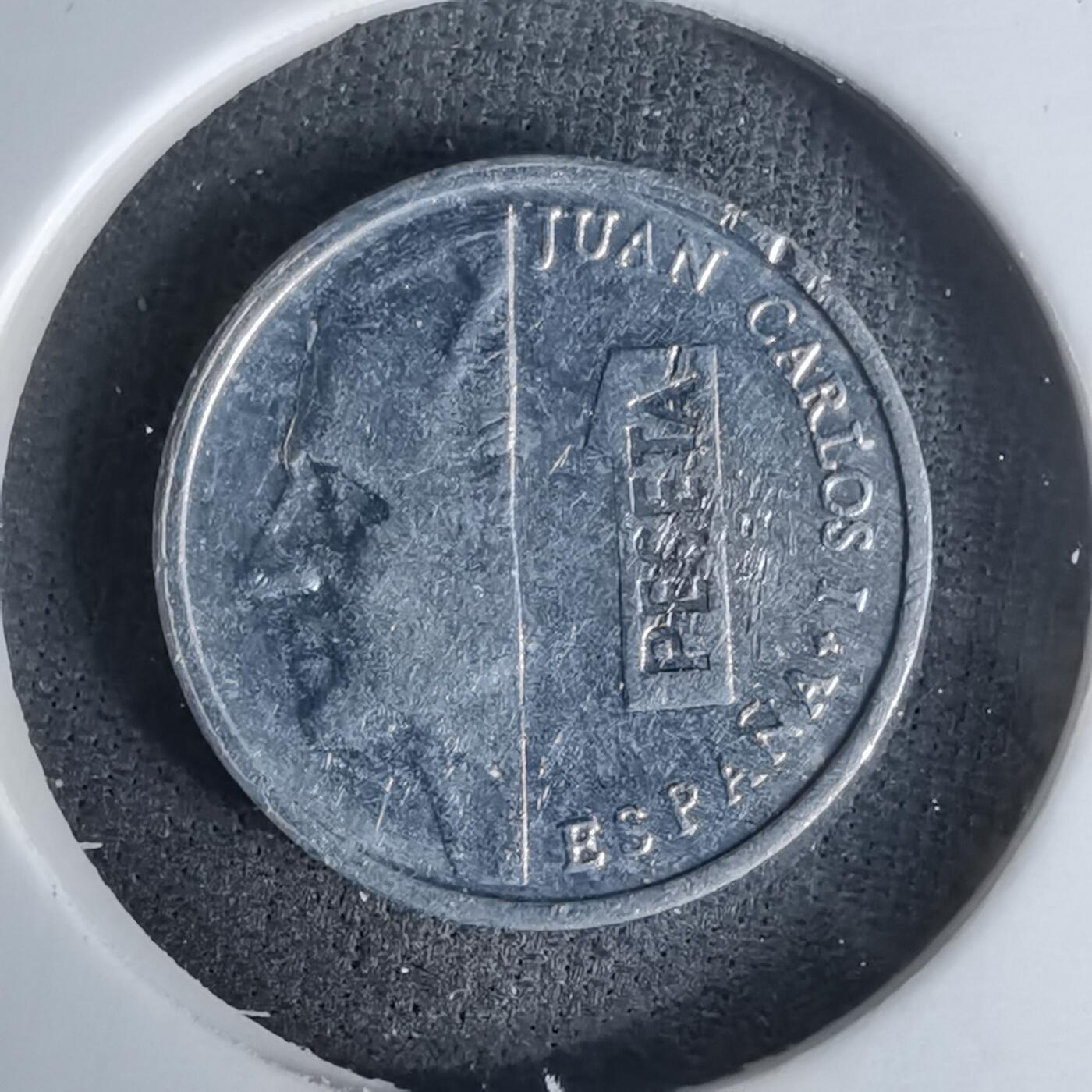 沼泽如烟--第978场