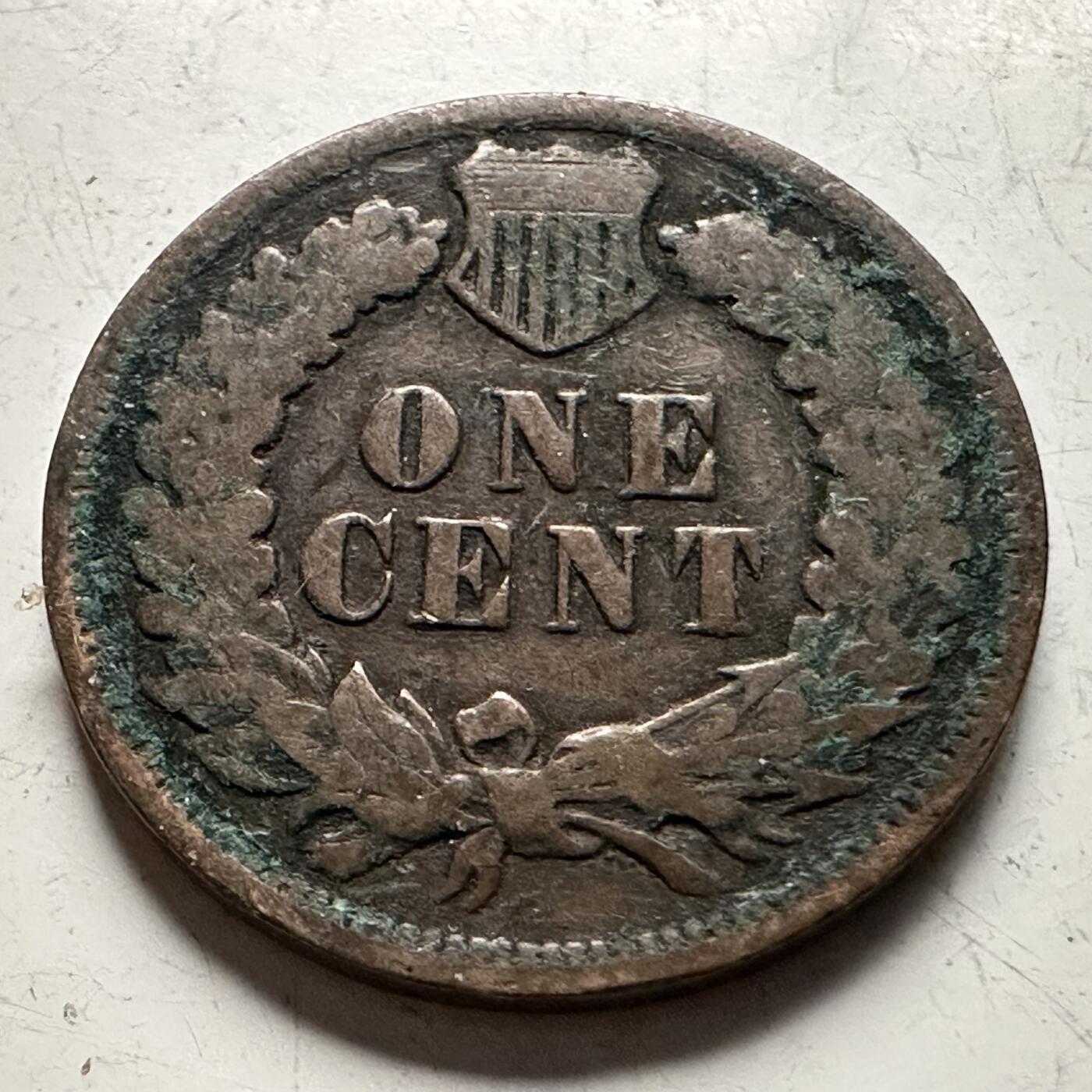 🌹外币初藏🌹🐯2026年第13场  每周二四六晚8️⃣点 接代拍 美国1903年一美分