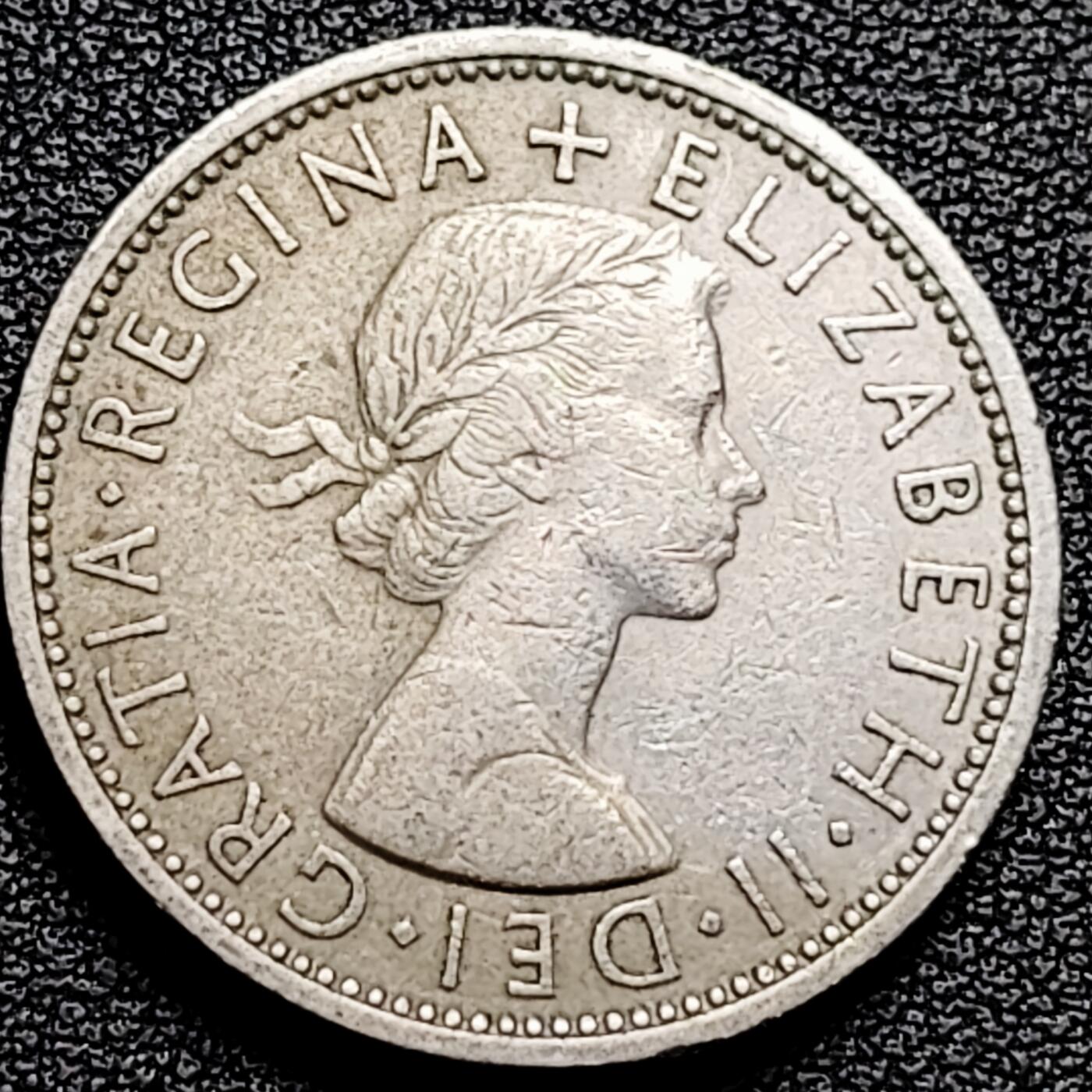 泉币菌-第178场- 精品福利场 。