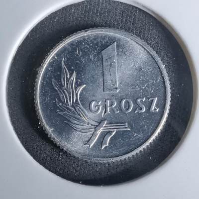 沼泽如烟--第978场 - 波兰1949年1格罗申