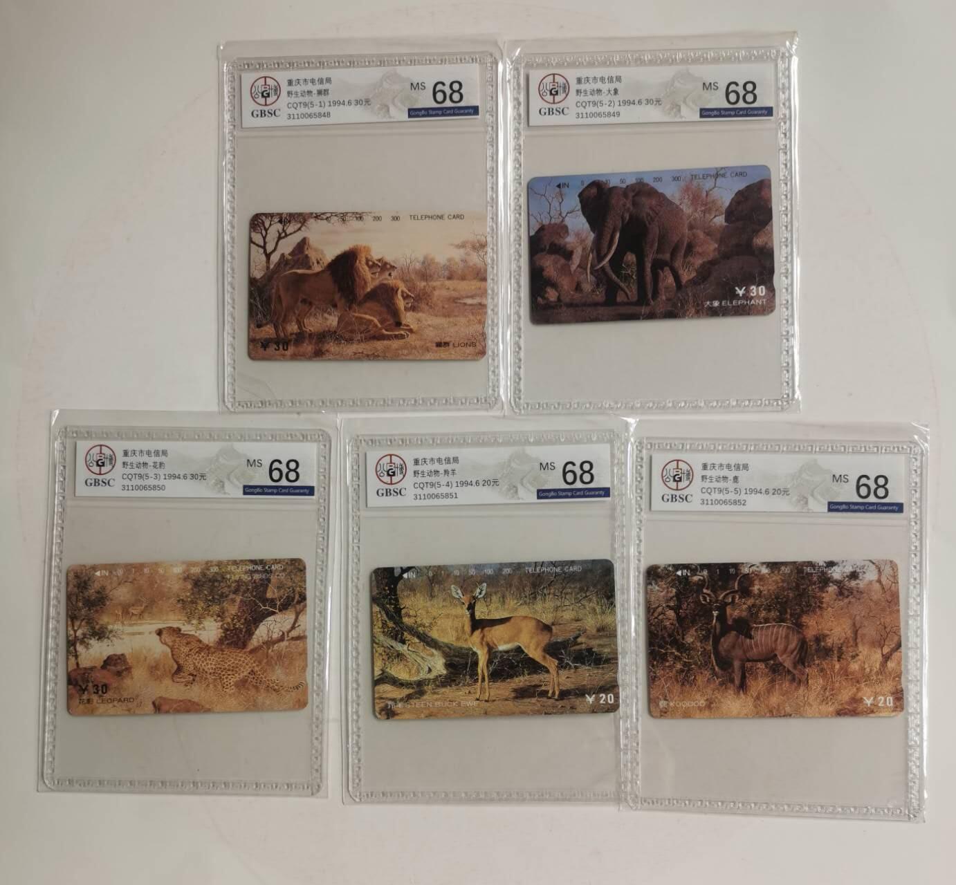 公藏第130期评级卡拍卖