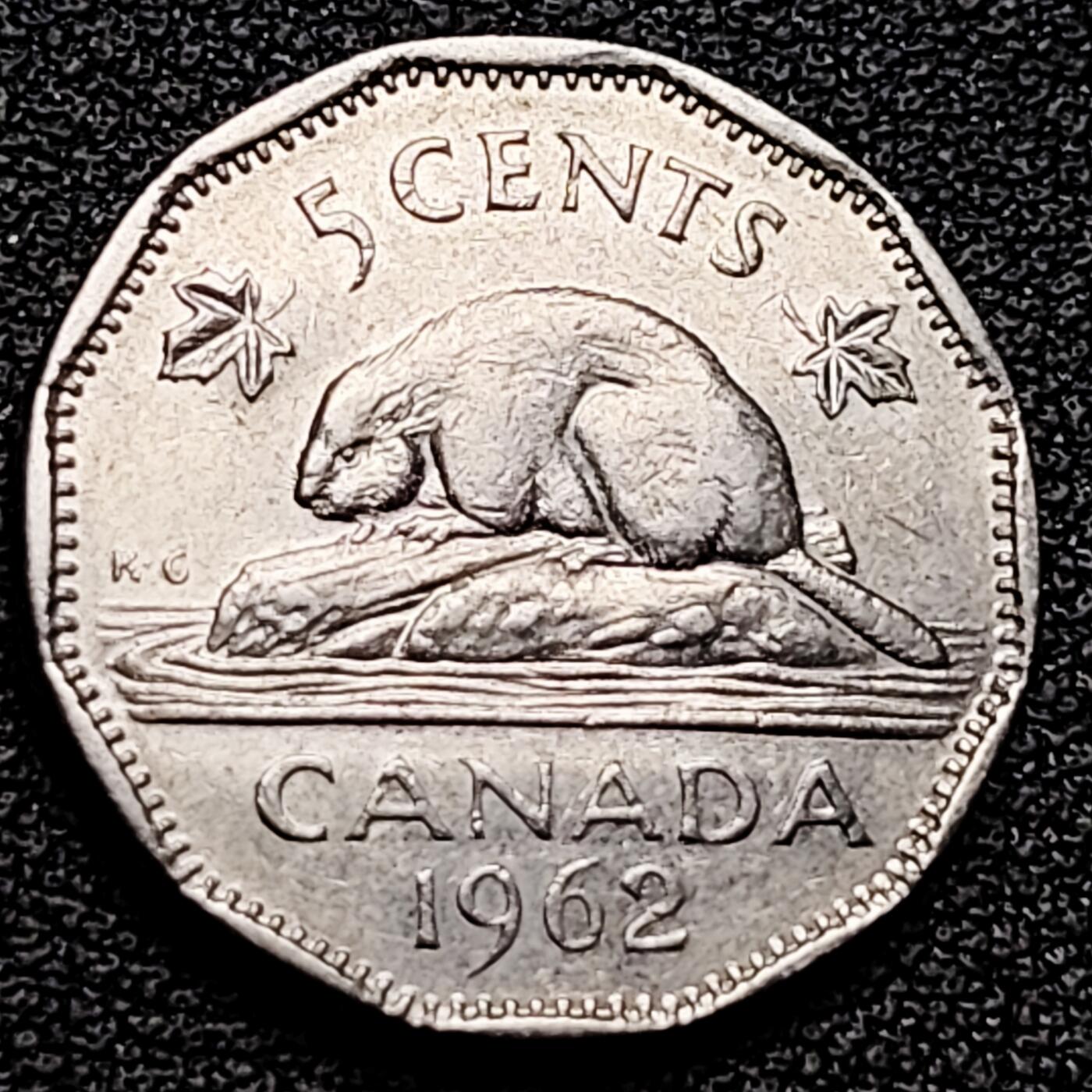 泉币菌-第178场- 精品福利场 。