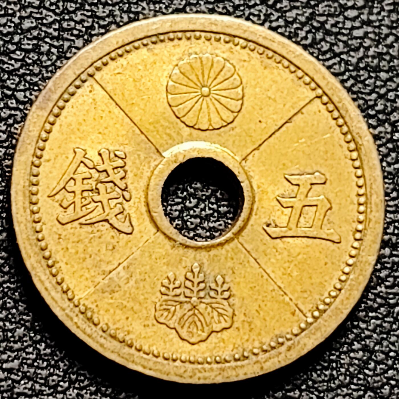 泉币菌-第178场- 精品福利场 。