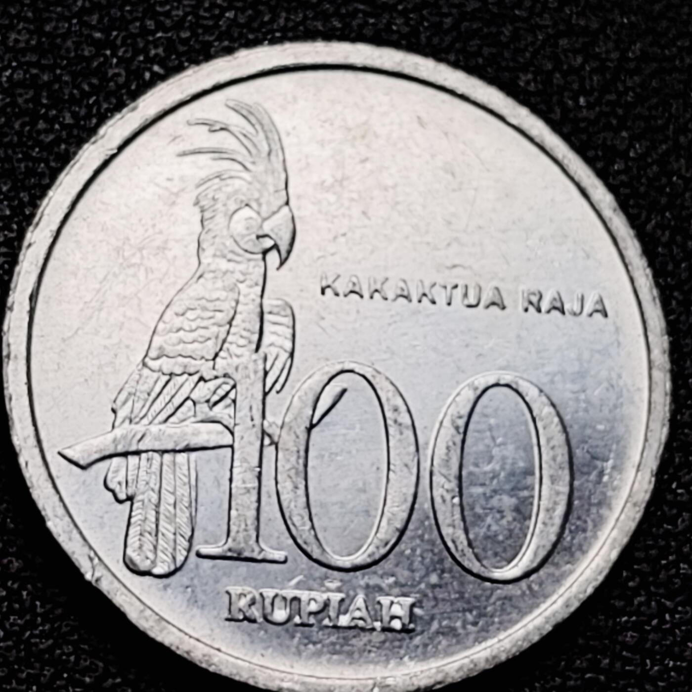 泉币菌-第178场- 精品福利场 。