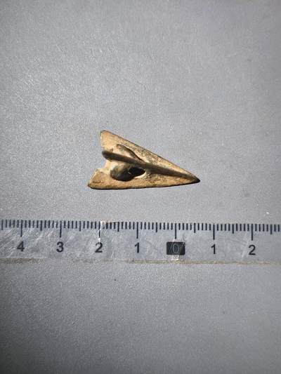 113期新疆红钱粟特钱币丝路钱币专场 - 草原文化铜箭头