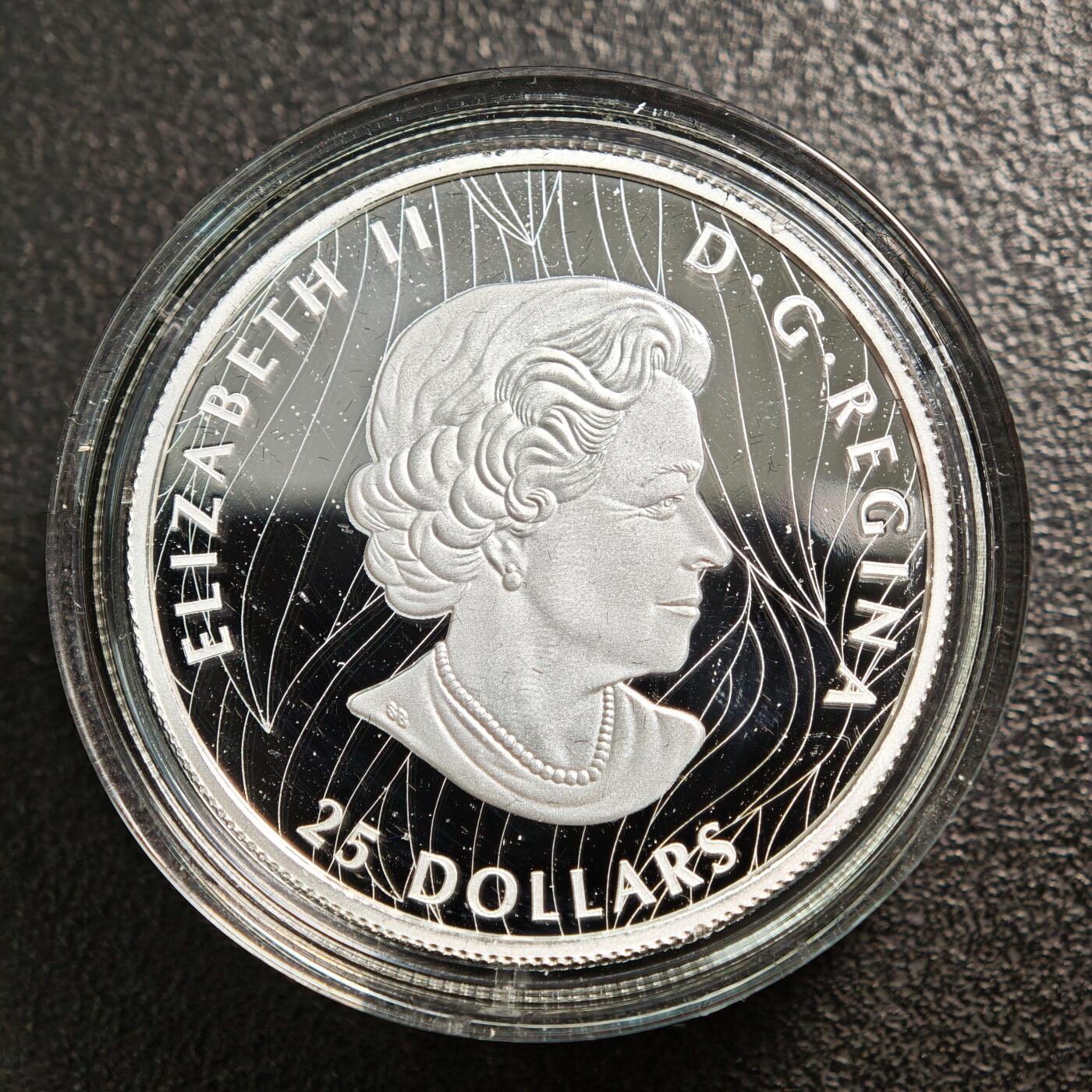 【德藏】世界币章拍卖第163期（拍品征集中~欢迎藏友联系） 2020年 加拿大秃鹰25元高浮雕精制纪念银币 成色999银 直径36mm 重量31.62g 原盒 原证书