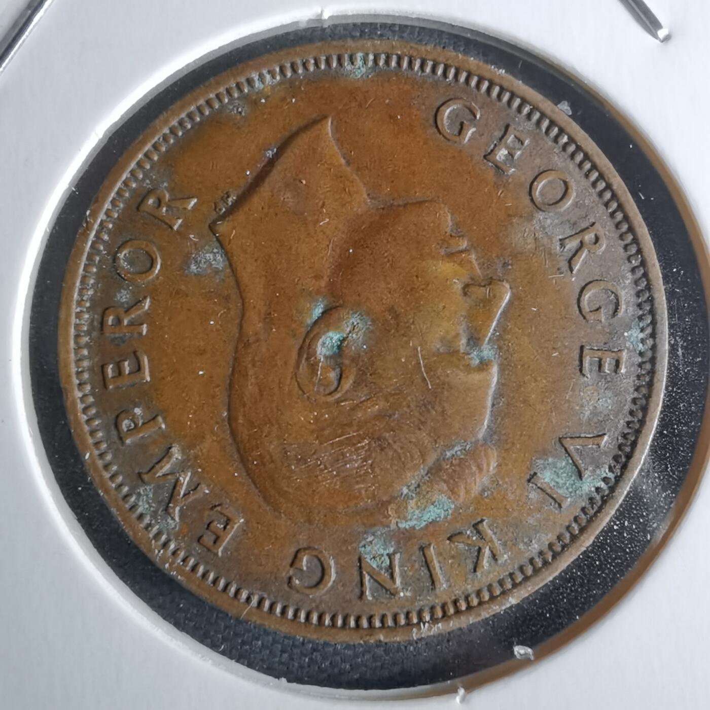 沼泽如烟--第979场