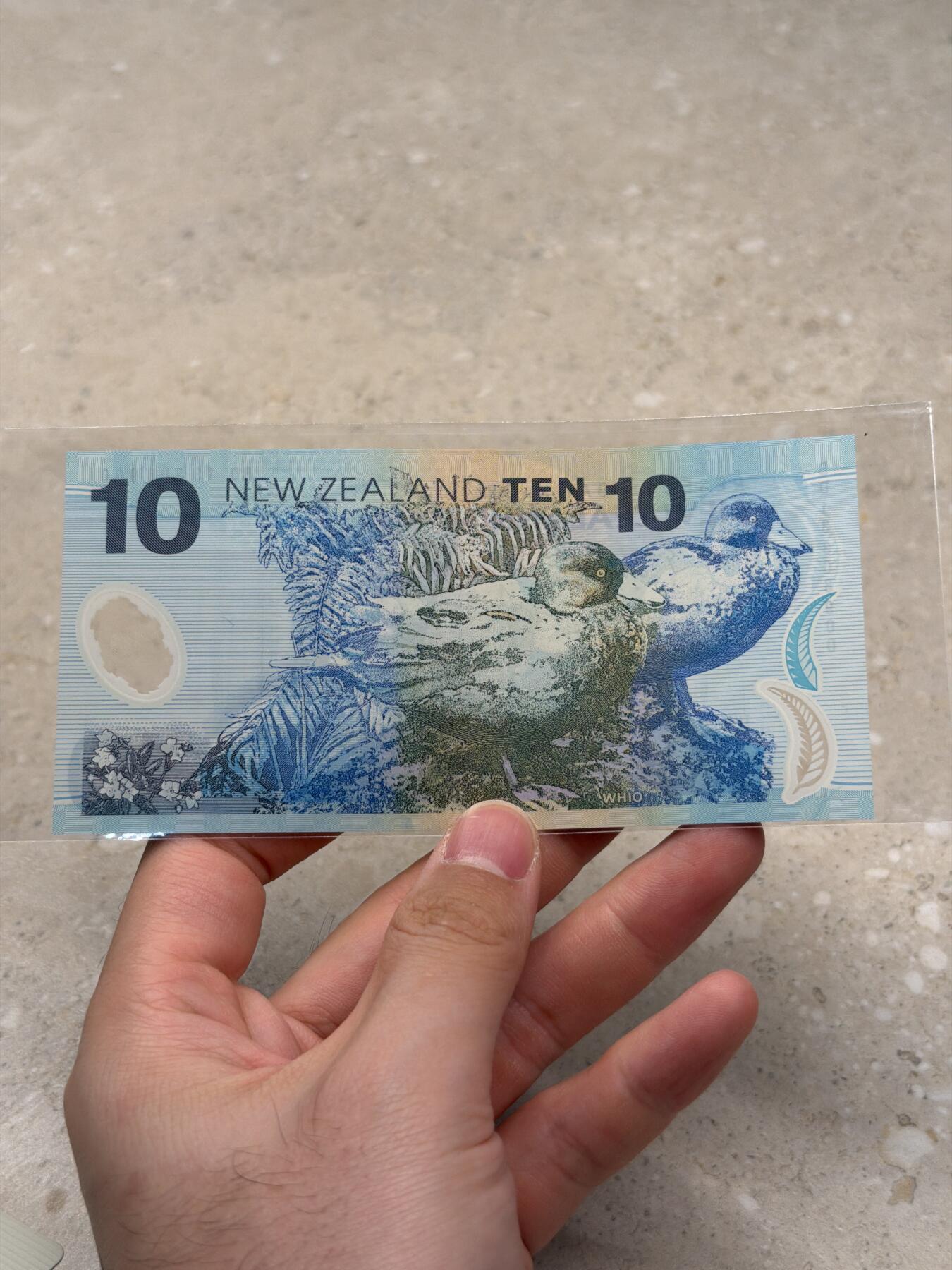 旧版新西兰10 流通好品