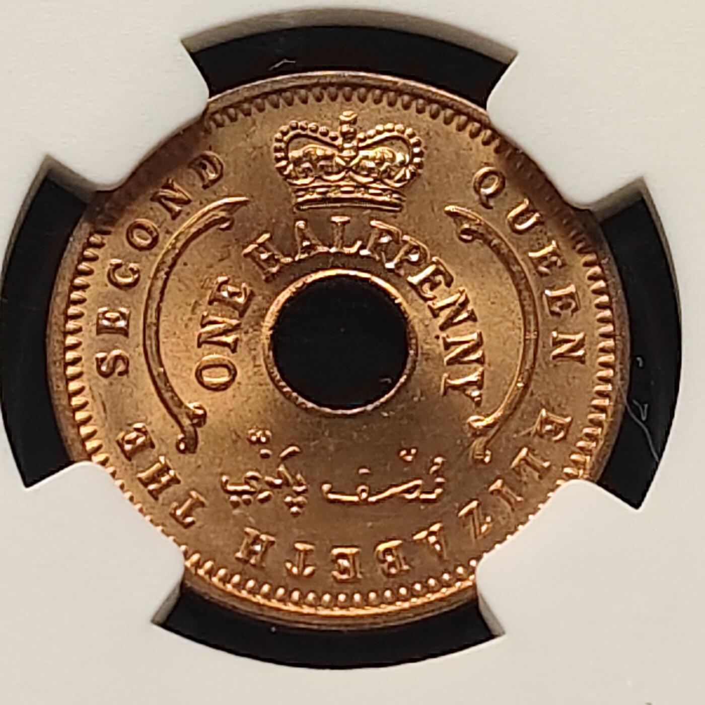 【全场包邮】纯粹捡漏拍499场-持续更新中 尼日利亚