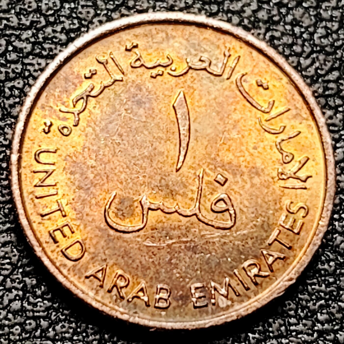 泉币菌-第178场- 精品福利场 。