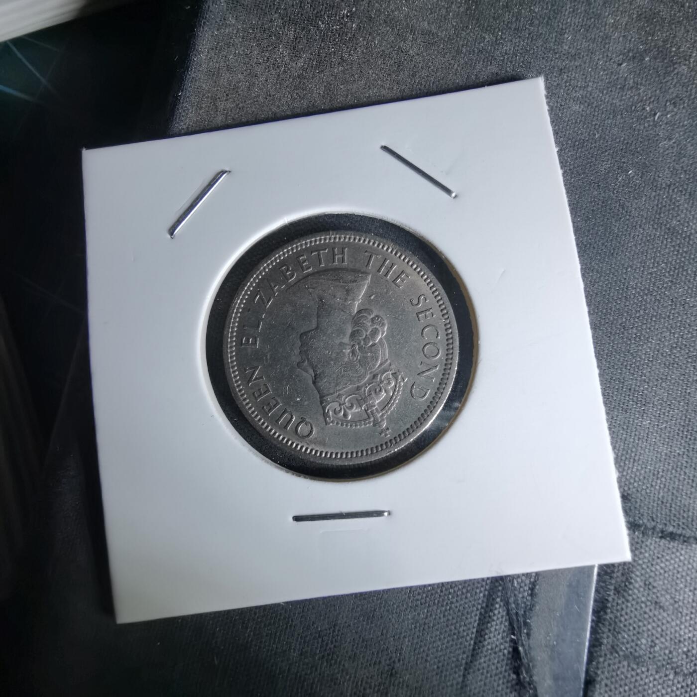 沼泽如烟--第978场