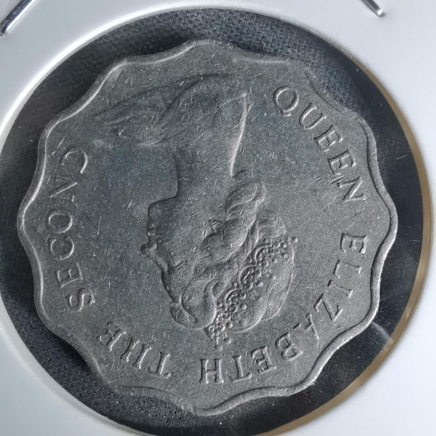 沼泽如烟--第978场 香港1982年二元